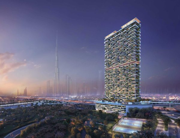 Safa 3 - Park Night 05